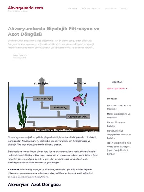 Biyolojik Filtrasyon İçin Platy Balıkları Nasıl Kullanılır