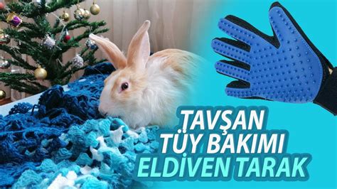 Tavşan Tüy Bakımı İçin Doğal Yöntemler