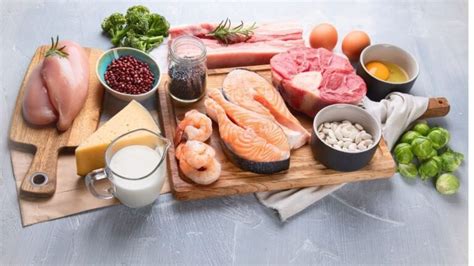 Tavşanlar İçin Dengeli Diyet Planı: Protein, Lif ve Vitaminler