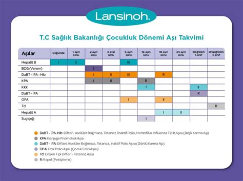 Tavşanların Aşı Takvimi ve Sağlık Kontrolleri: Neleri Gözden Kaçırmamalısınız?